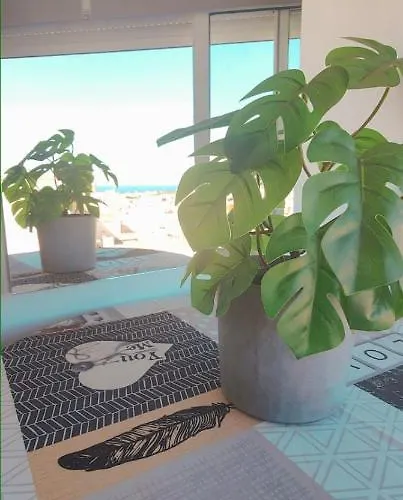 Avenida Palma De Mallorca Center With Sea Views By Namaste Elite *